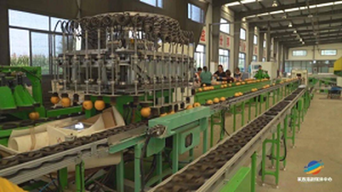 ফার্স্ট ফ্রুট স্ট্যান্ডার্ডাইজেশন অরিজিন সার্ভিস ফোরাম