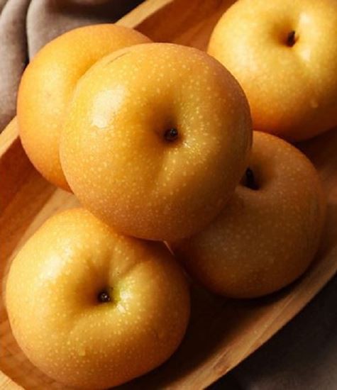 নাশপাতি জাত