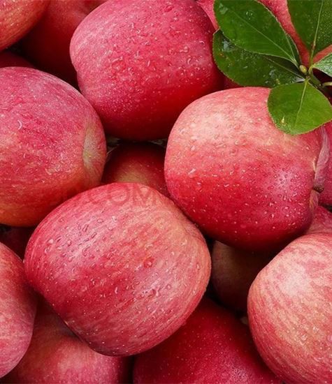 আপেল সব ধরনের