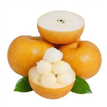 Qiuyue এশিয়ান নাশপাতি